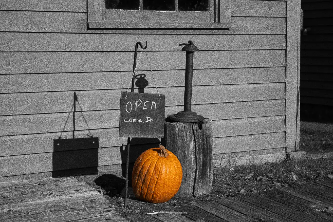 pumpkin